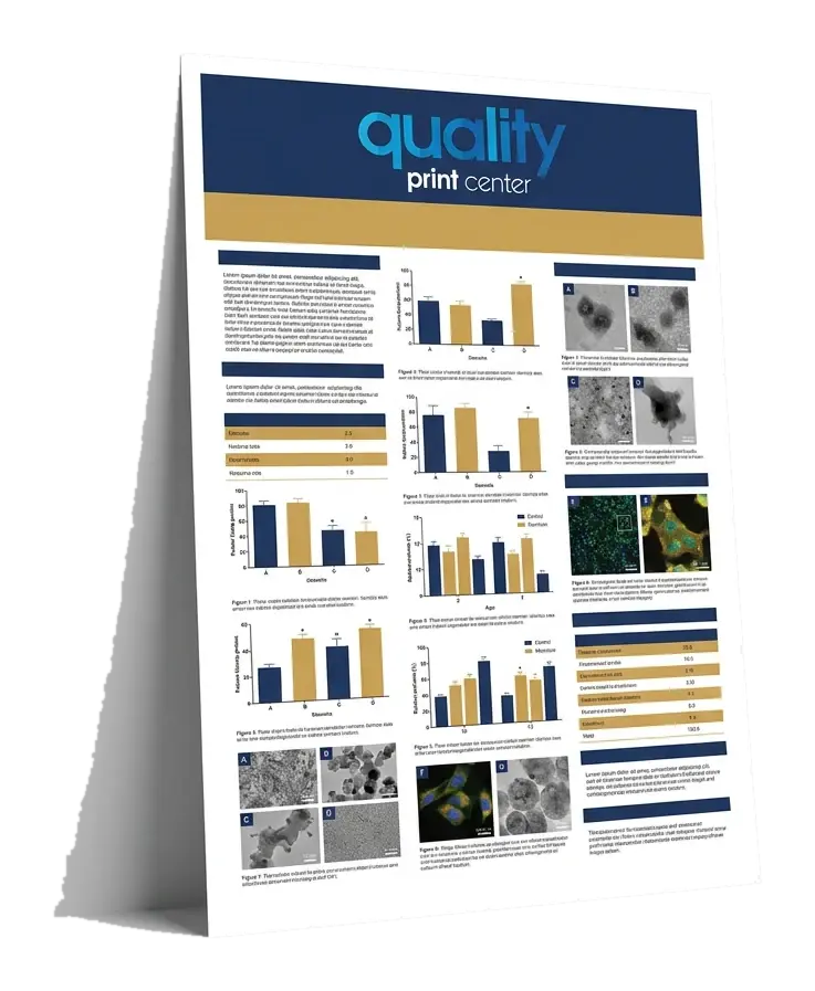Posters printing at Quality Print Center FIU